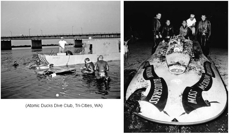 Miss Merion Bluegrass Sinks